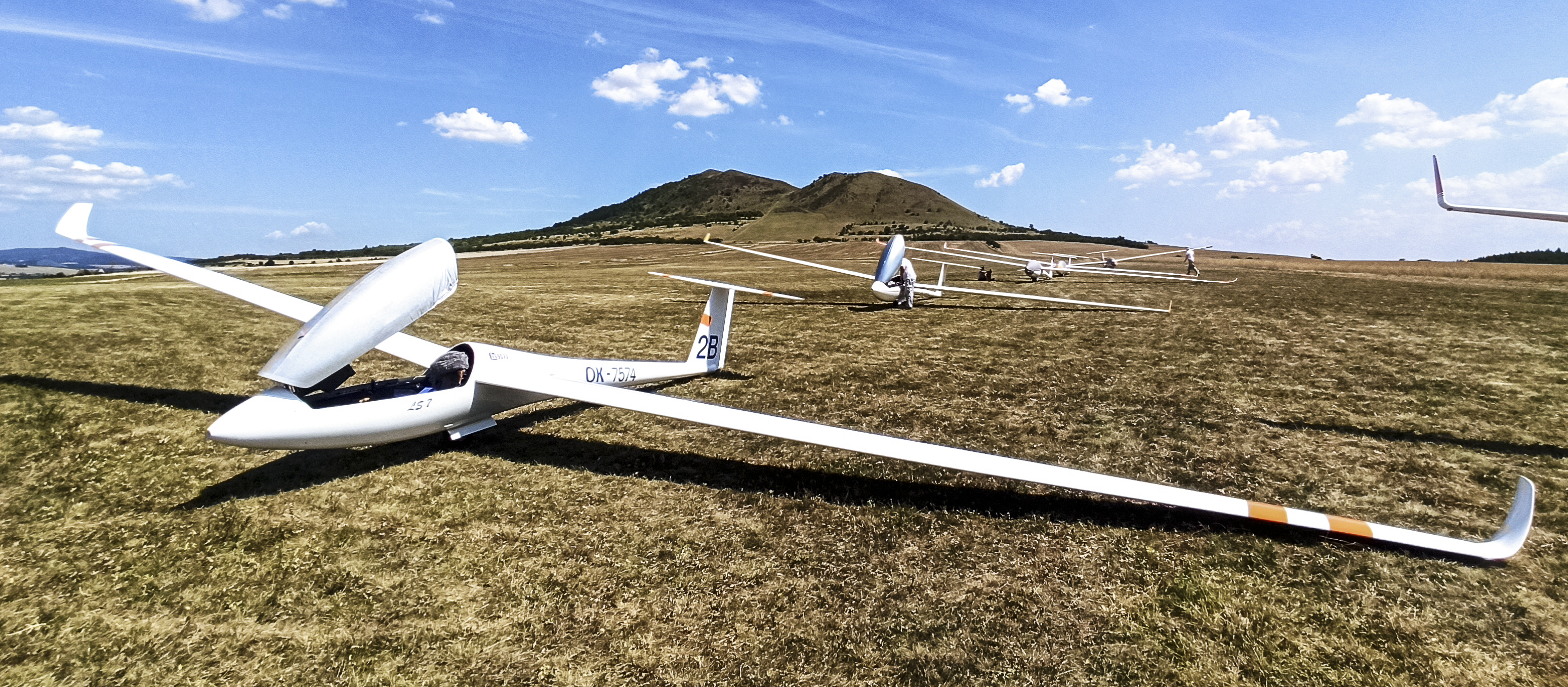 LS7 WL Glider